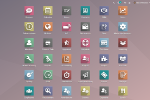 Odoo ERP Enterprise version 17